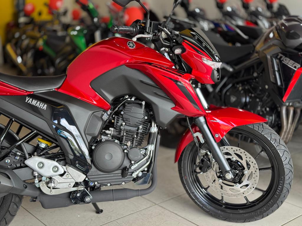 YAMAHA FZ 25 250 Fazer Flex - Foto