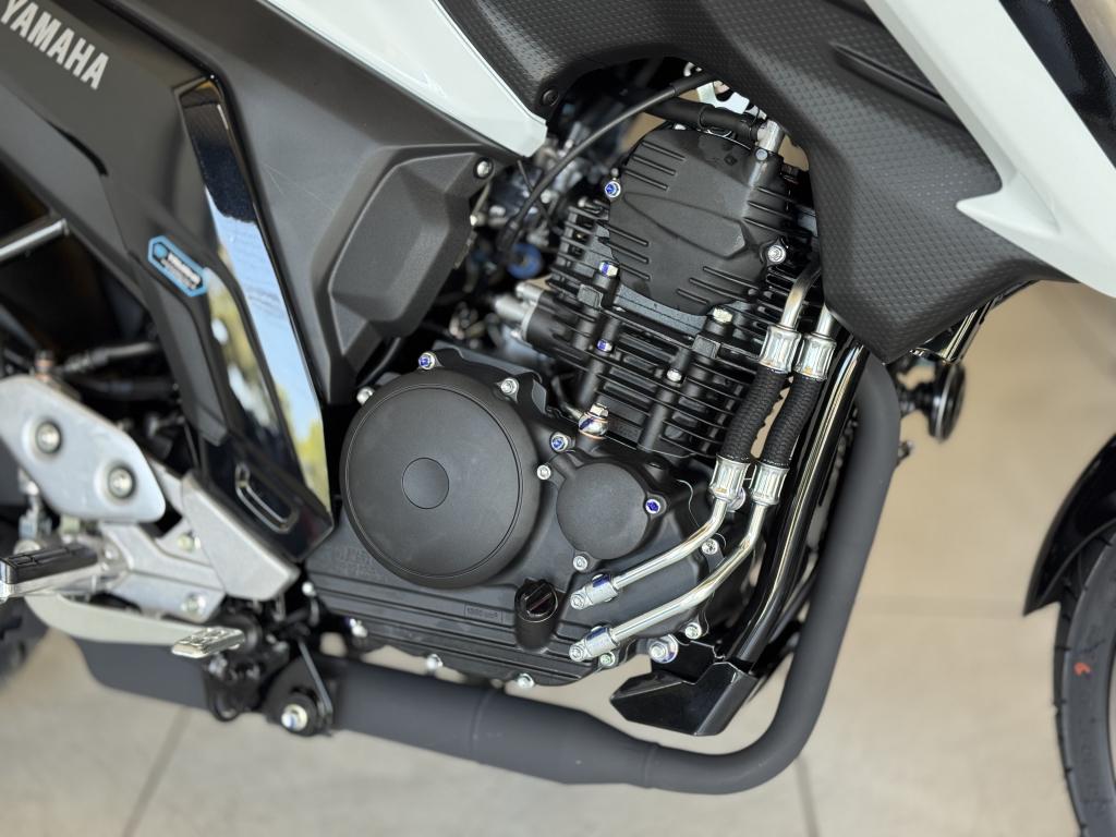 YAMAHA FZ 25 250 Fazer Flex - Foto