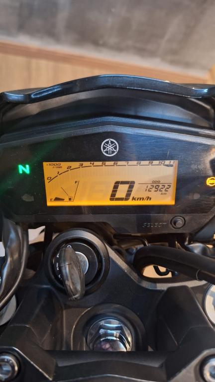 YAMAHA FZ 25 250 Fazer Flex - Foto