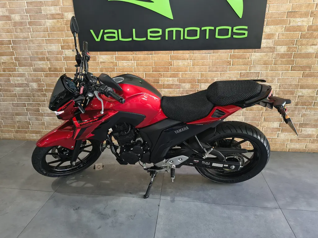 YAMAHA FZ 25 250 Fazer Flex - Foto