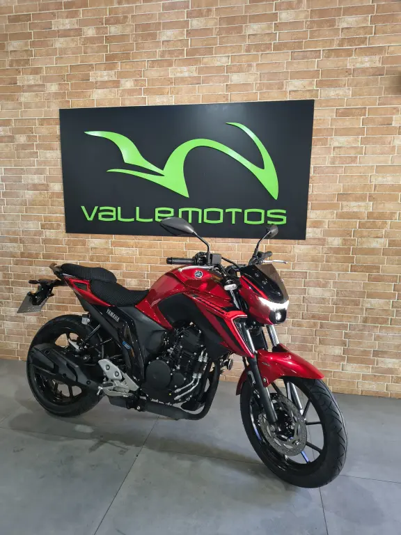 YAMAHA FZ 25 250 Fazer Flex - Foto