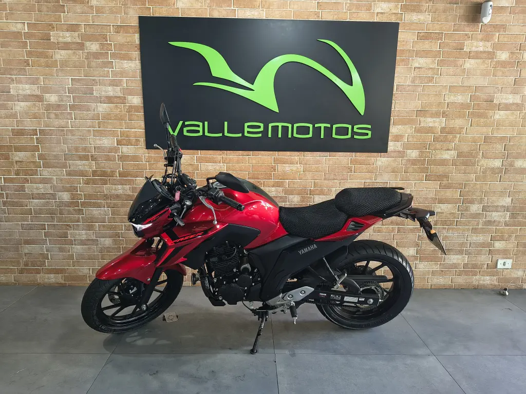 YAMAHA FZ 25 250 Fazer Flex - Foto