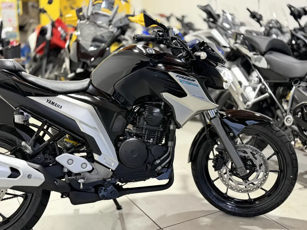 YAMAHA FZ 25 250 Fazer Flex - Foto