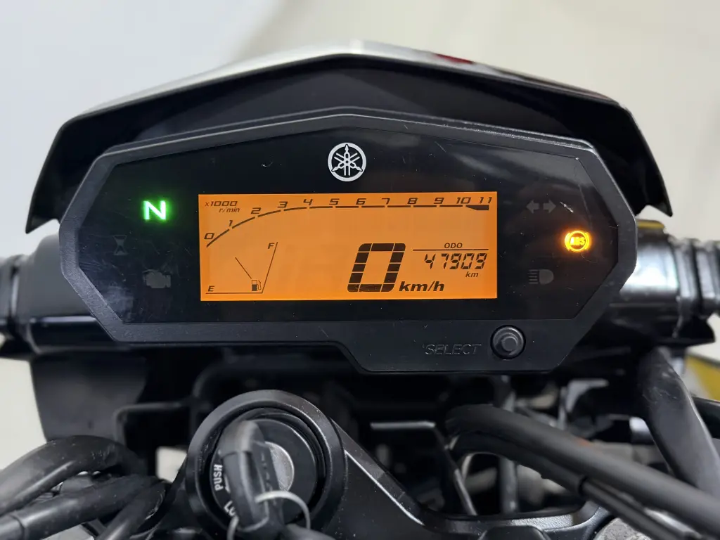YAMAHA FZ 25 250 Fazer Flex - Foto