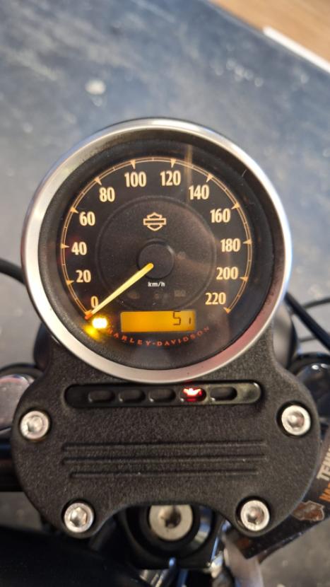 HARLEY DAVIDSON Sportster XL 883 IRON, Foto 7