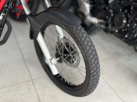 HONDA XRE 300 RALLY ABS, Foto 4