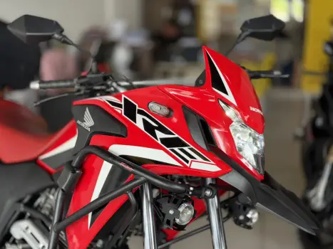 HONDA XRE 300 RALLY ABS, Foto 2