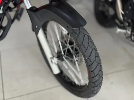 HONDA XRE 300 RALLY ABS, Foto 3