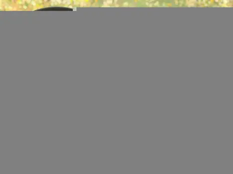 JEEP Renegade 1.8 16V 4P FLEX SPORT, Foto 4