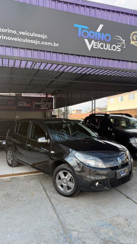 RENAULT Sandero 1.0 4P 16V FLEX TECH RUN, Foto 2