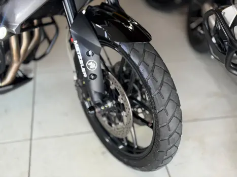 TRIUMPH Tiger 800 XR, Foto 4