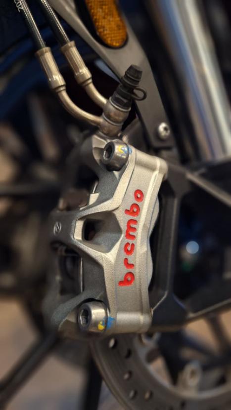 TRIUMPH Tiger 900 GT Pro , Foto 10