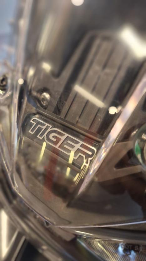 TRIUMPH Tiger 900 RALLY PR�, Foto 9