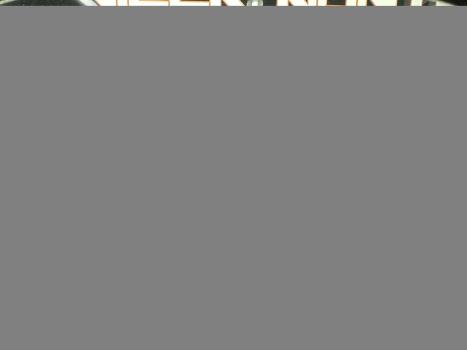 VOLKSWAGEN Nivus 1.0 4P FLEX 200 TSI HIGHLINE TURBO AUTOM�TICO, Foto 9