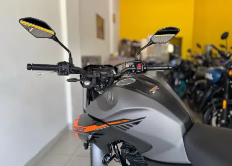 YAMAHA FZ 25 250 Fazer Flex , Foto 8