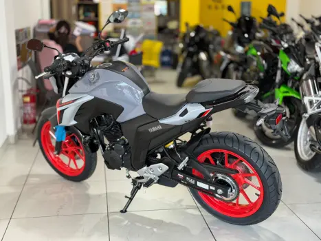 YAMAHA FZ 25 250 Fazer Flex , Foto 8