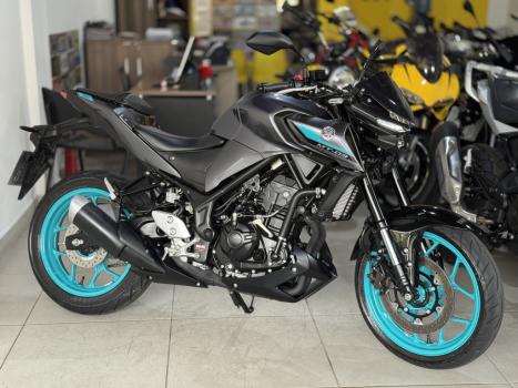 YAMAHA MT-03 300 ABS, Foto 1
