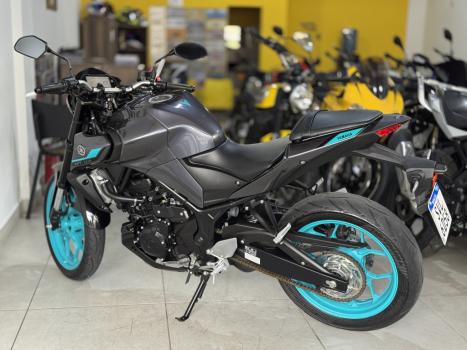 YAMAHA MT-03 300 ABS, Foto 8