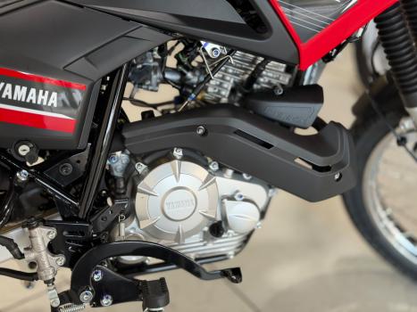 YAMAHA XTZ 150 Crosser Z, Foto 4