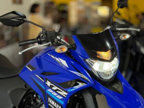 YAMAHA XTZ 250 LANDER, Foto 3