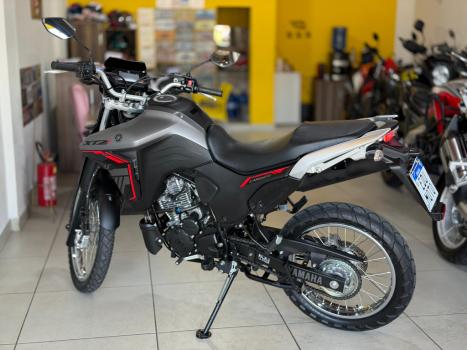 YAMAHA XTZ 250 LANDER, Foto 7