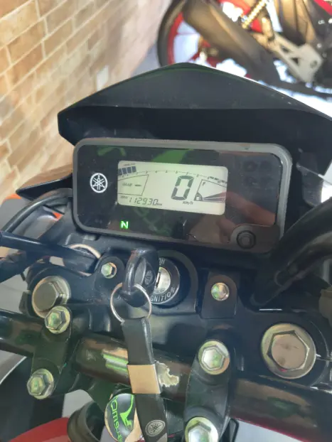 YAMAHA YBR 125 ED, Foto 3