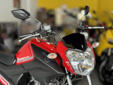 YAMAHA YBR 150 FACTOR ED FLEX, Foto 2