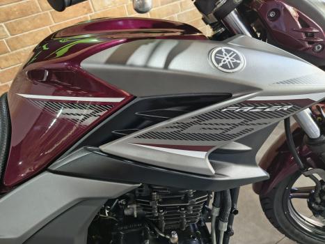 YAMAHA YS Fazer 250 BLUE FLEX, Foto 2