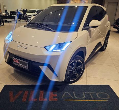 BYD Dolphin Mini 38 KW ELTRICO, Foto 1