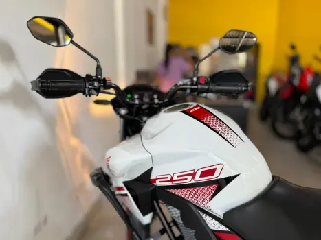 HONDA CB 250 F Twister FLEXONE, Foto 8