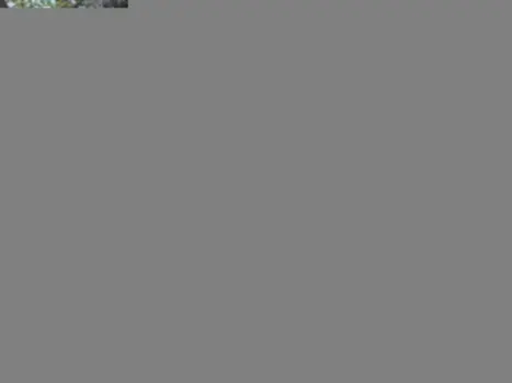 VOLKSWAGEN Crossfox 1.6 4P FLEX I-MOTION AUTOMATIZADO, Foto 2