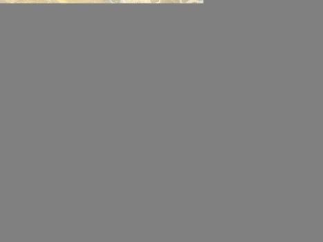 VOLKSWAGEN Tiguan 1.4 16V 4P TSI TURBO DSG AUTOMTICO, Foto 13