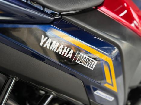 YAMAHA FZ 25 250 Fazer Flex , Foto 6