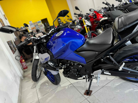 YAMAHA MT-03 300 ABS, Foto 8