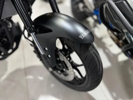 YAMAHA MT-03 300 ABS, Foto 3
