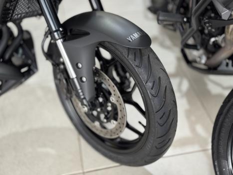 YAMAHA MT-03 300 ABS, Foto 3