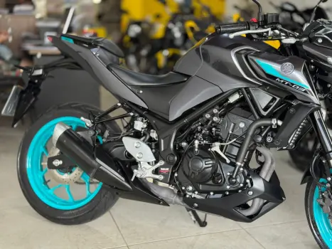 YAMAHA MT-03 300 ABS, Foto 6