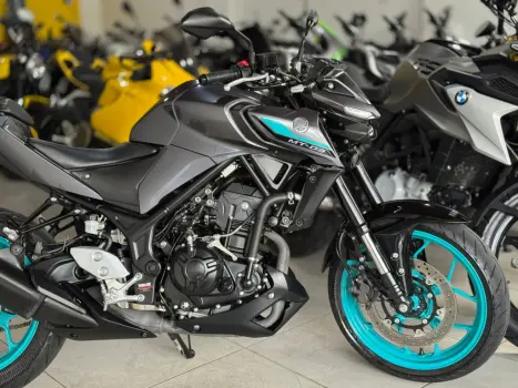 YAMAHA MT-03 300 ABS, Foto 7