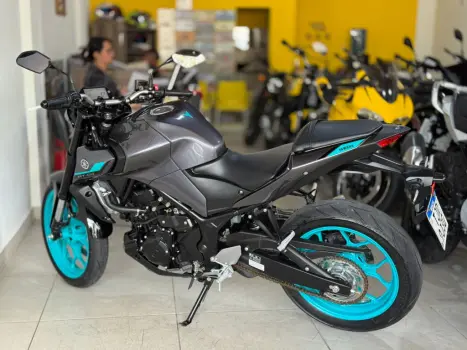YAMAHA MT-03 300 ABS, Foto 9