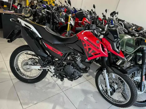 YAMAHA XTZ 150 Crosser S FLEX, Foto 6