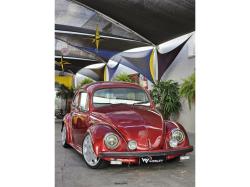 VOLKSWAGEN Fusca 
