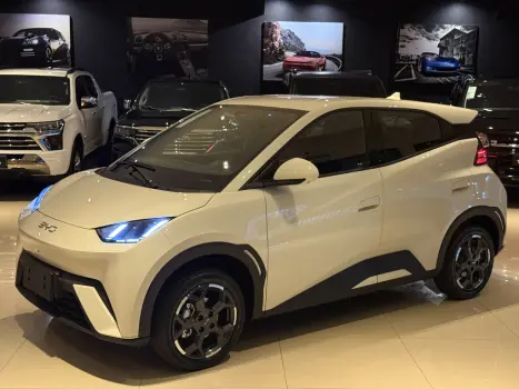 BYD Dolphin Mini 38 KW EL�TRICO GS, Foto 1
