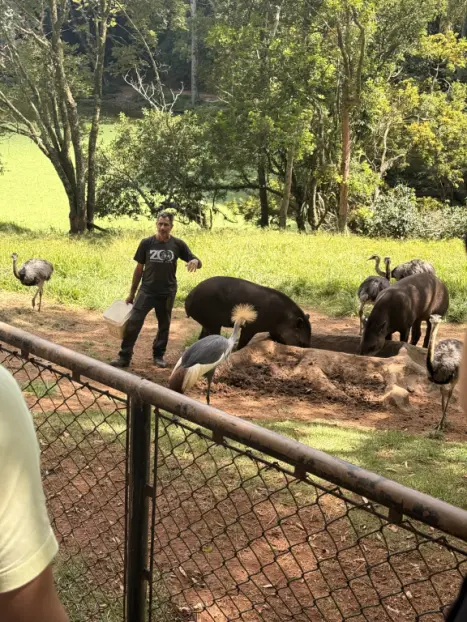 CHEVROLET Spin 1.8 4P FLEX LTZ AUTOM�TICO, Foto 4