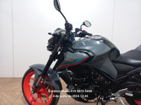 YAMAHA MT-03 300 ABS, Foto 7