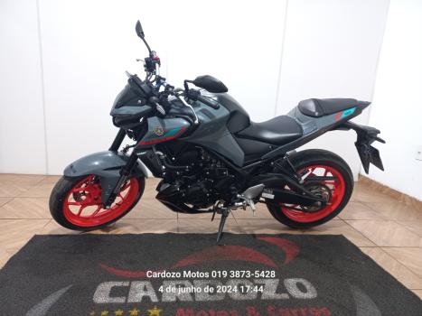 YAMAHA MT-03 300 ABS, Foto 3