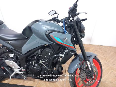 YAMAHA MT-03 300 ABS, Foto 6