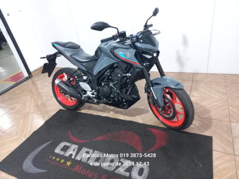 YAMAHA MT-03 300 ABS, Foto 10