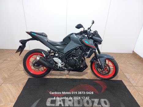 YAMAHA MT-03 300 ABS, Foto 1