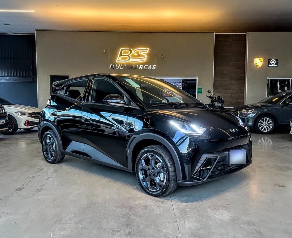 BYD Dolphin Mini