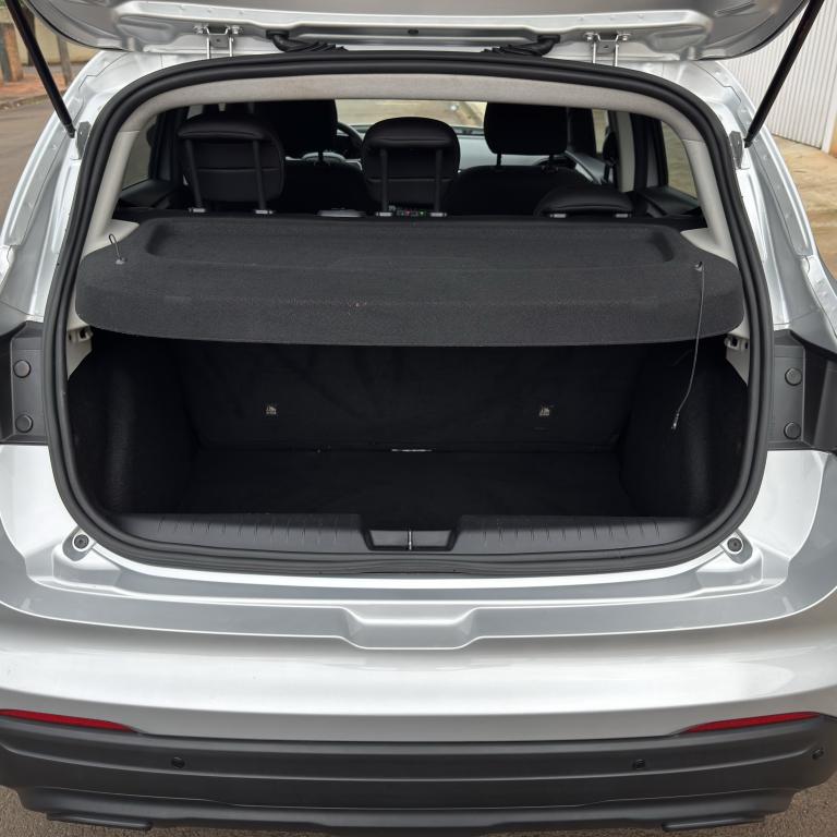 FIAT Pulse - Foto